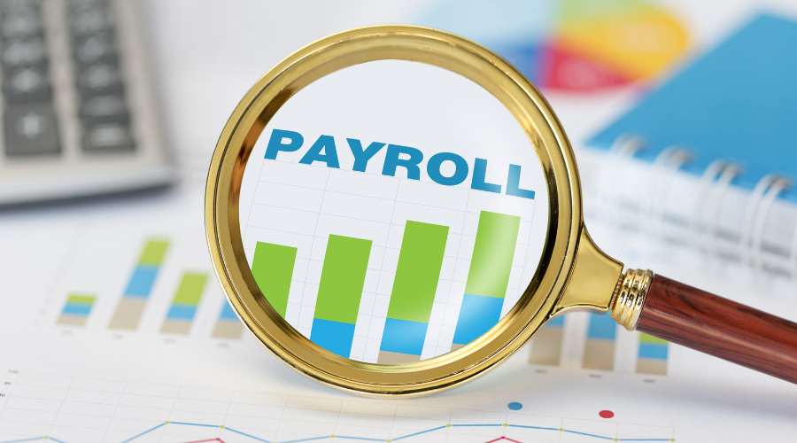 Payroll and PAYE Reconciliation