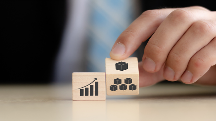 Efficient Business Closure and Compliance for an E-Commerce Owner_