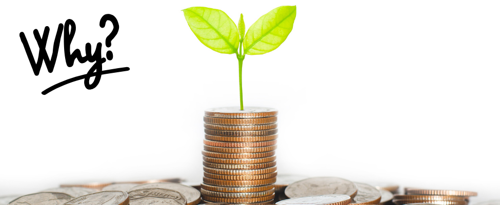 Why Green Accounting Matters in Ireland