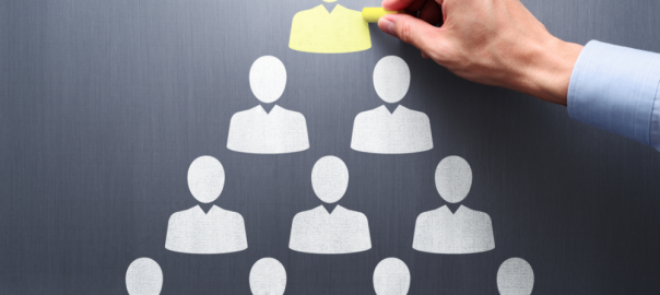 The Complete Guide to Setting Up and Managing a Limited Company in Ireland