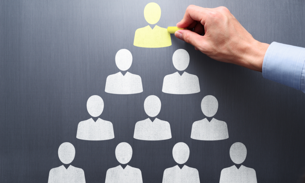 The Complete Guide to Setting Up and Managing a Limited Company in Ireland