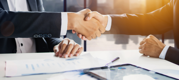 Selecting the Right Company Type in Ireland
