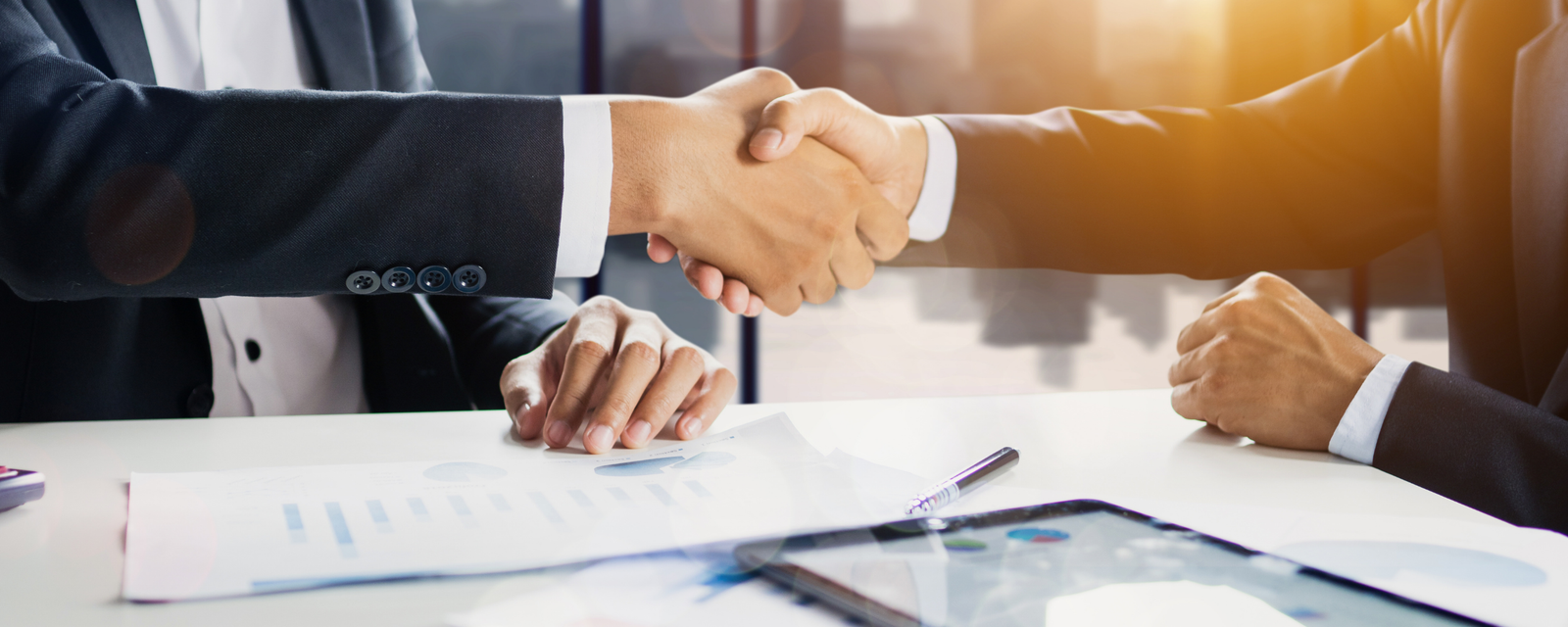Selecting the Right Company Type in Ireland